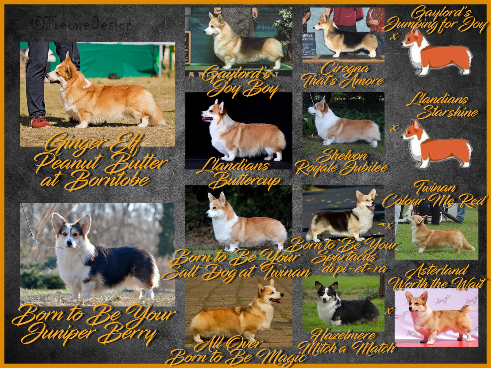 Louis pedigree in pic