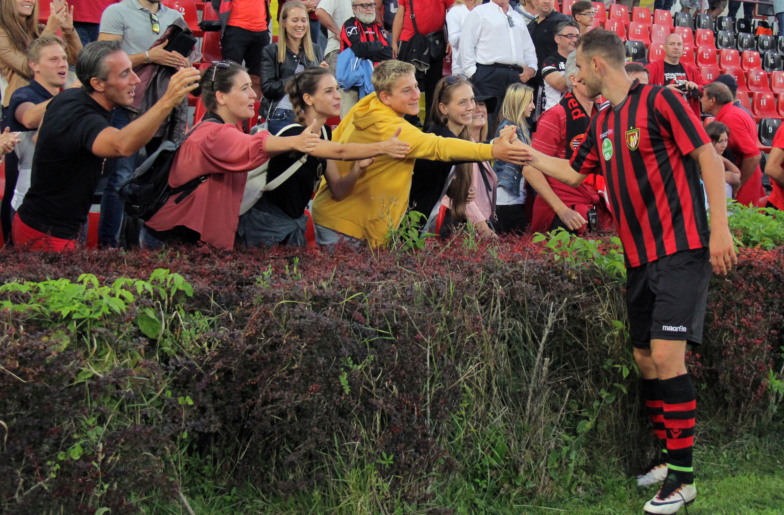 Honved-Paks 16 Babar 0066