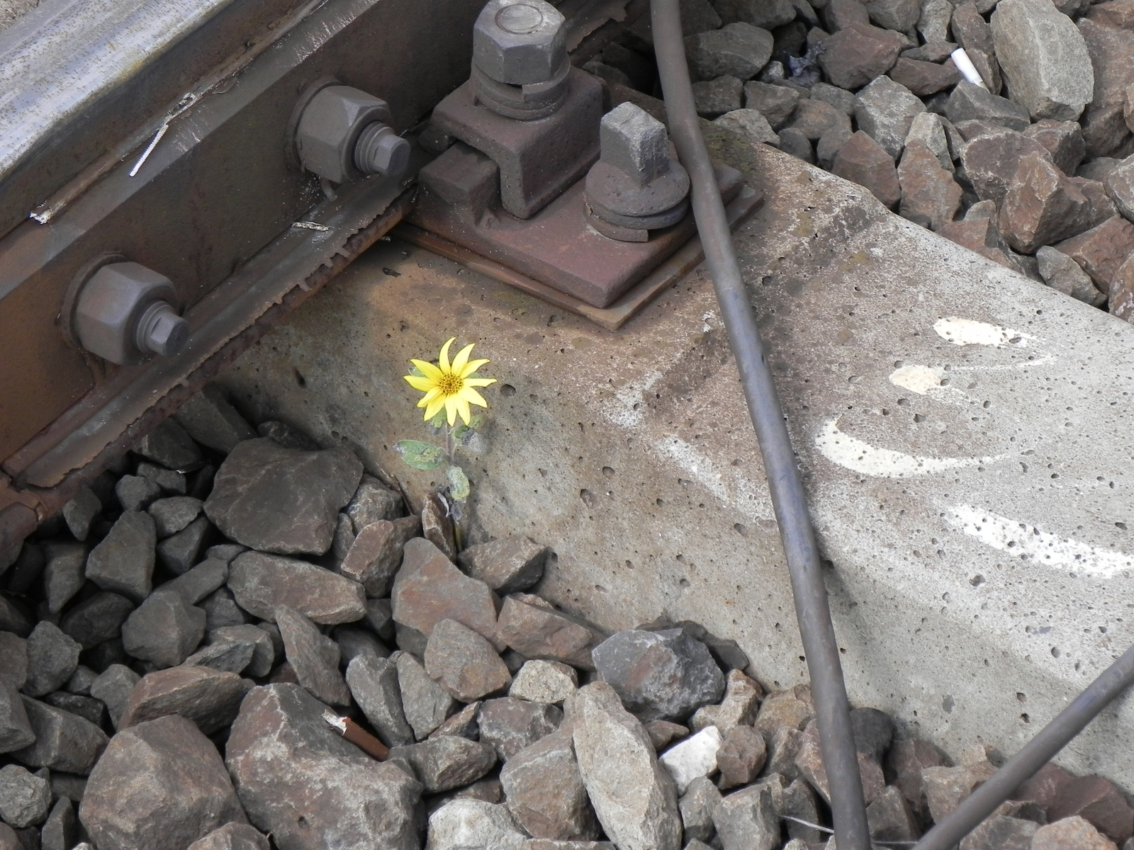 Van élet a vasúton1