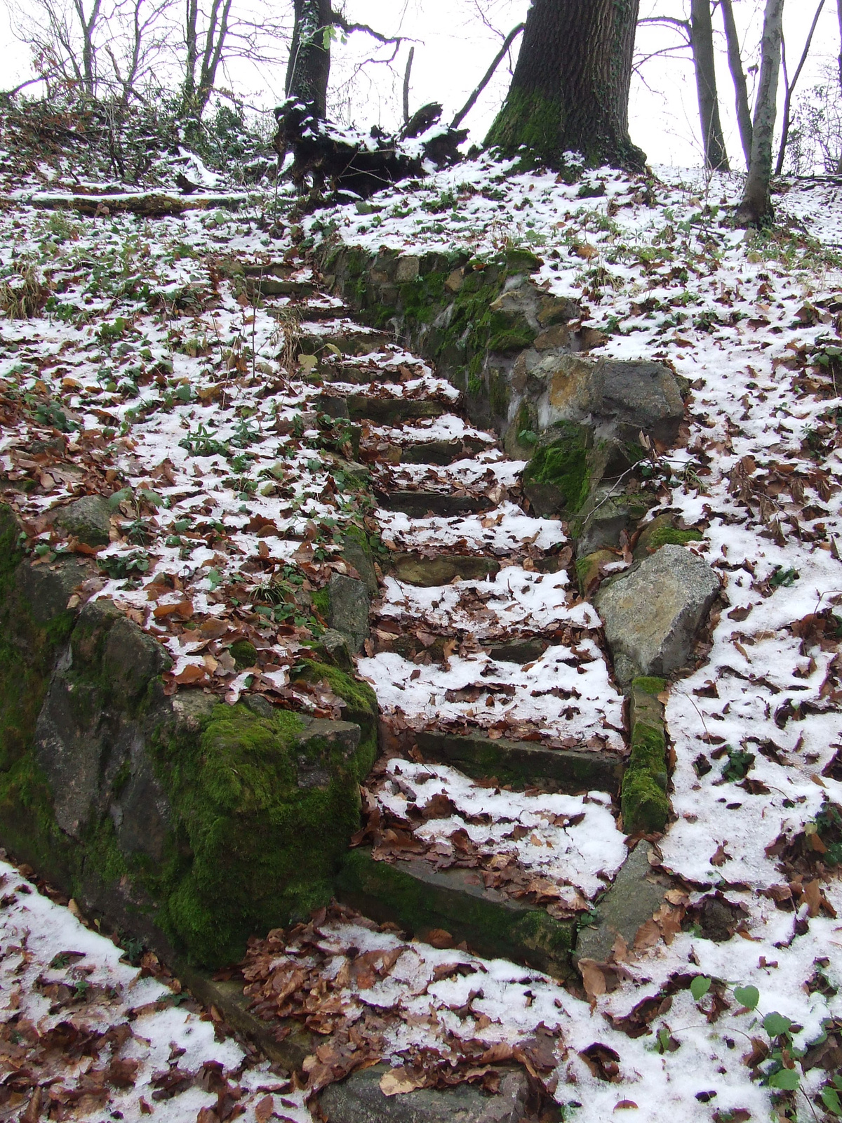 A támfal feletti lépcső (mögötte a  6-os út)