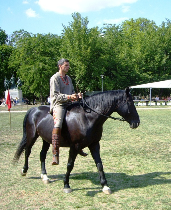 Ludovika fesztivál 2012.05.19.145