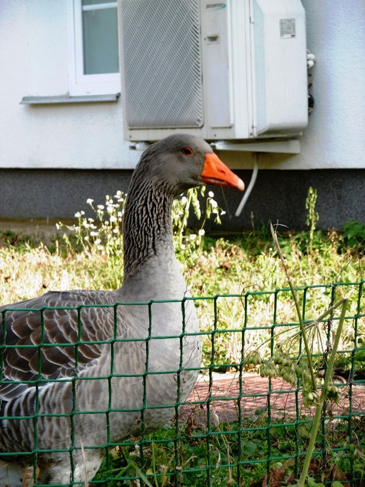 257 Misinától Éger-völgyig