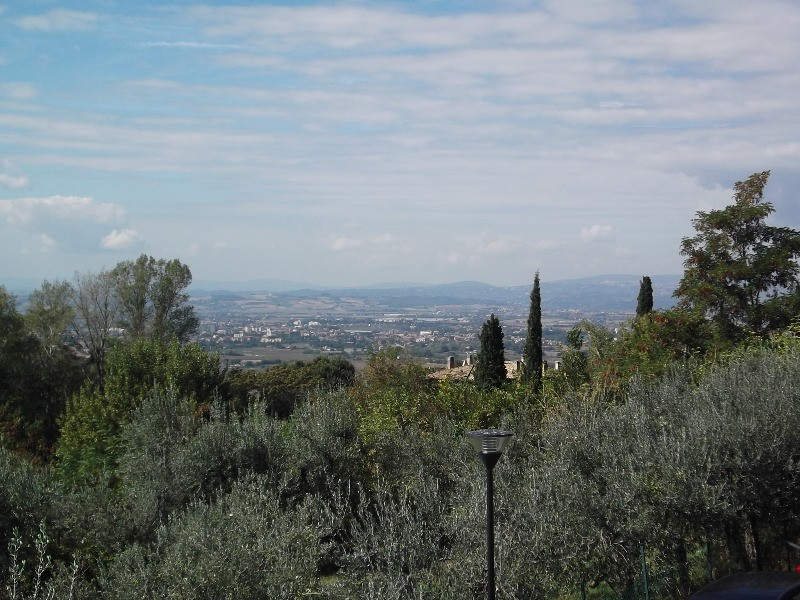 Assisi (11)