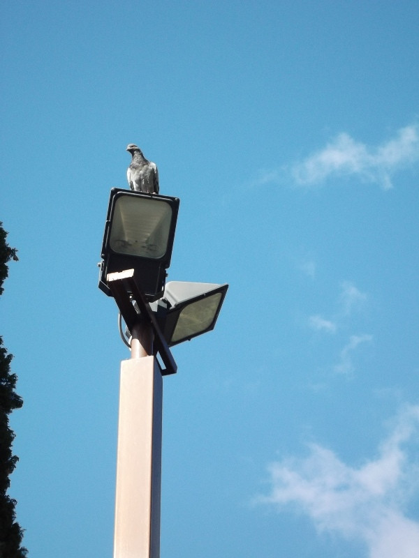 Assisi (13)