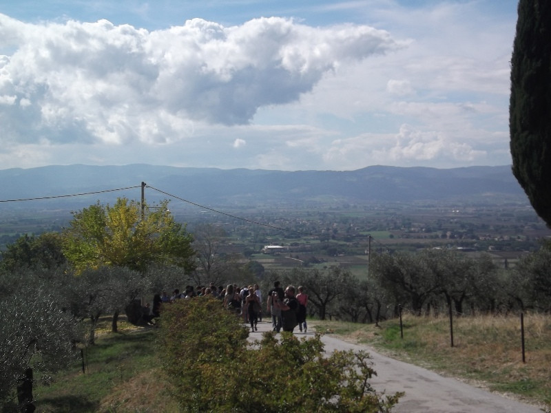 Assisi (17)