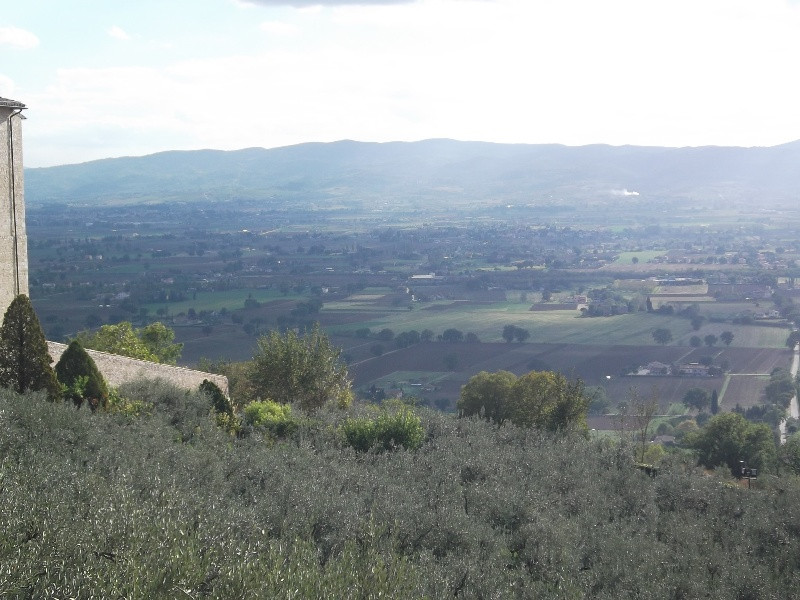 Assisi (111)