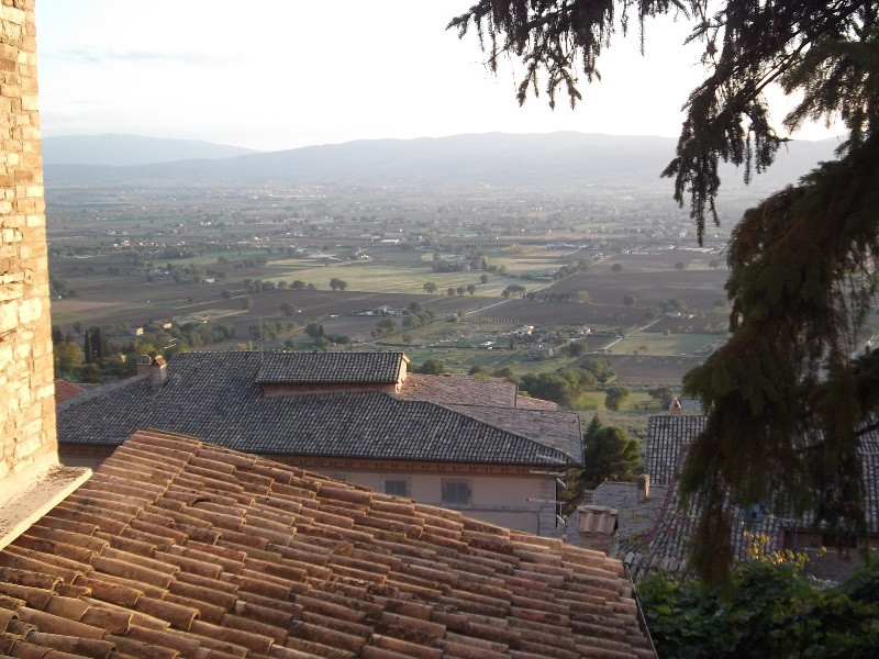 Assisi (163)