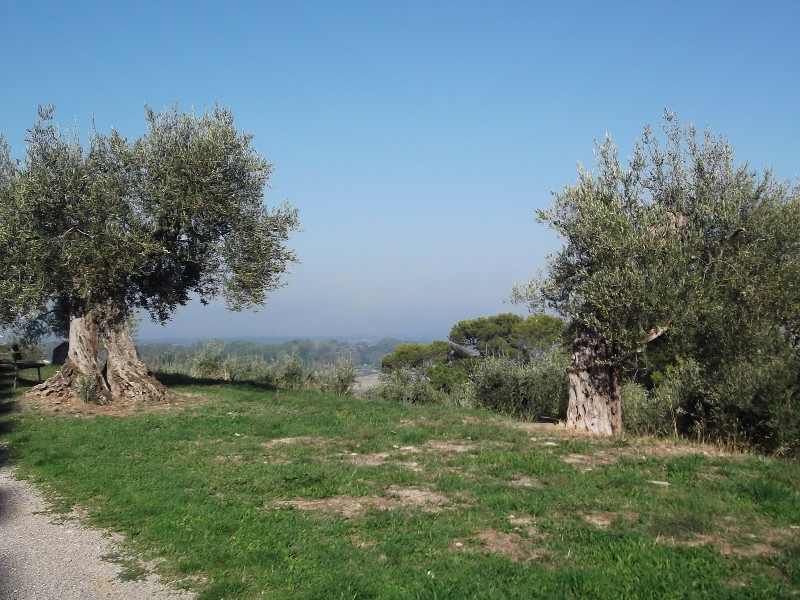 Lago di Trasimeno (19)