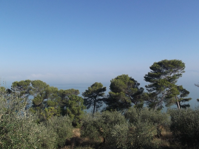 Lago di Trasimeno (25)