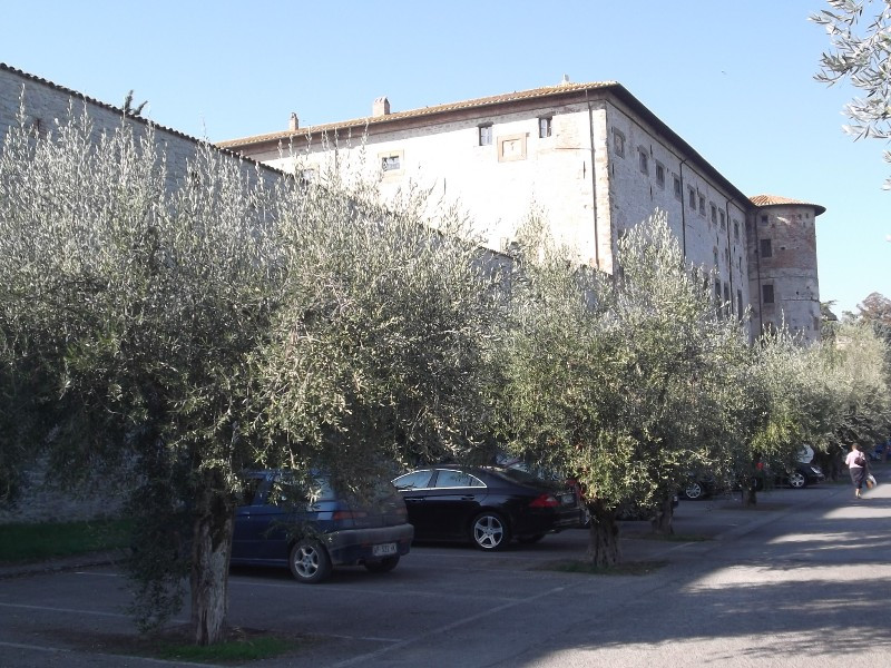 Lago di Trasimeno (27)