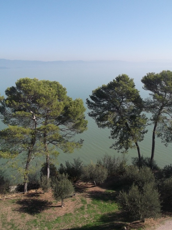 Lago di Trasimeno (60)