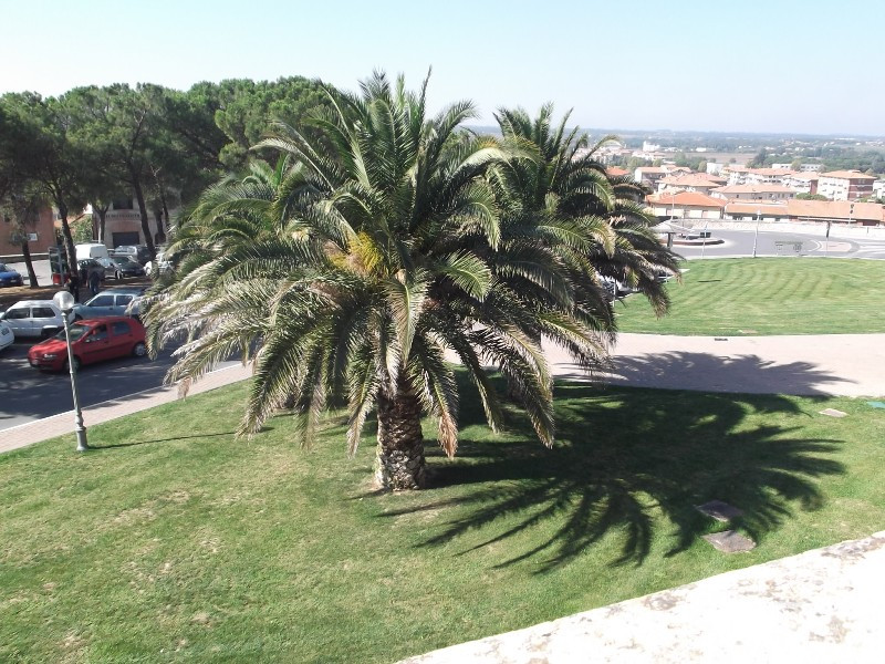 Lago di Trasimeno (108)