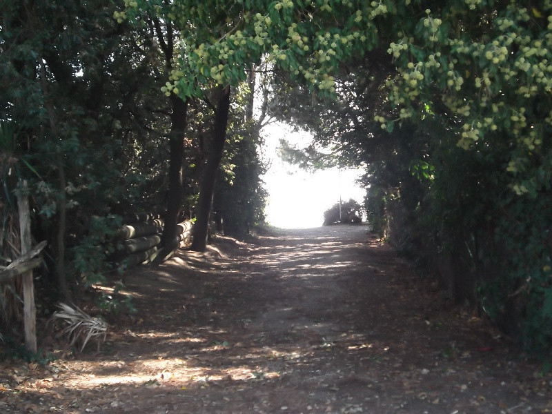 Lago di Trasimeno (133)