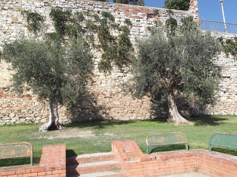 Lago di Trasimeno (181)