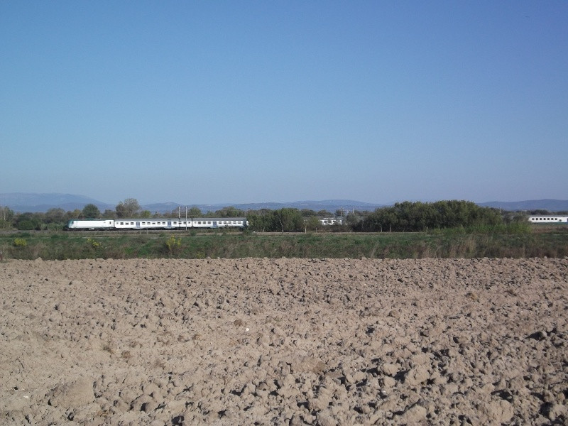 Lago di Trasimeno (201)