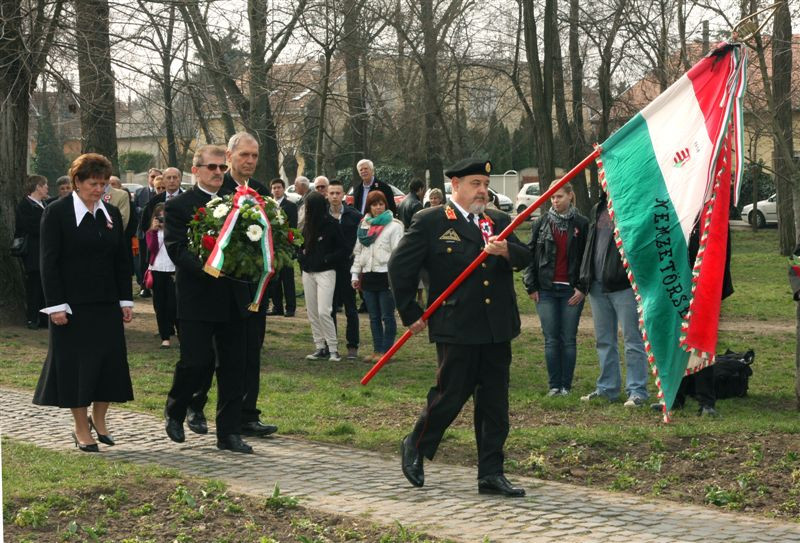 Pálfi tér (1)