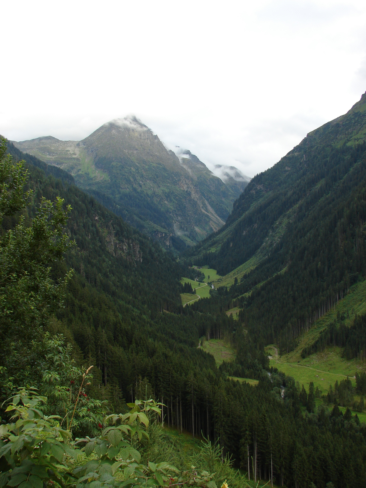 Untere Gfölleralm