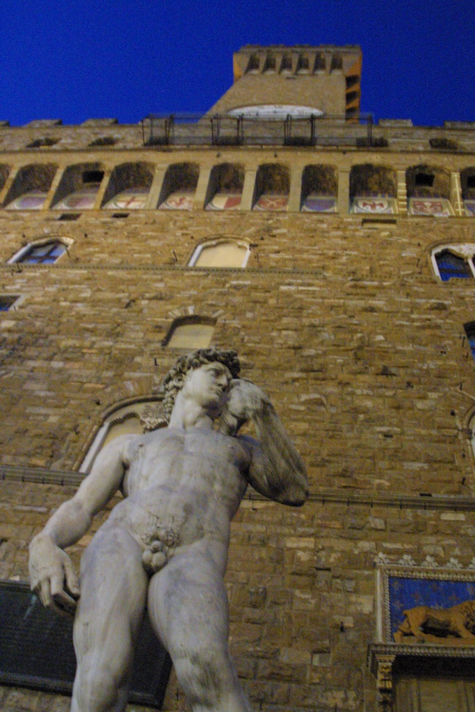 firenze david