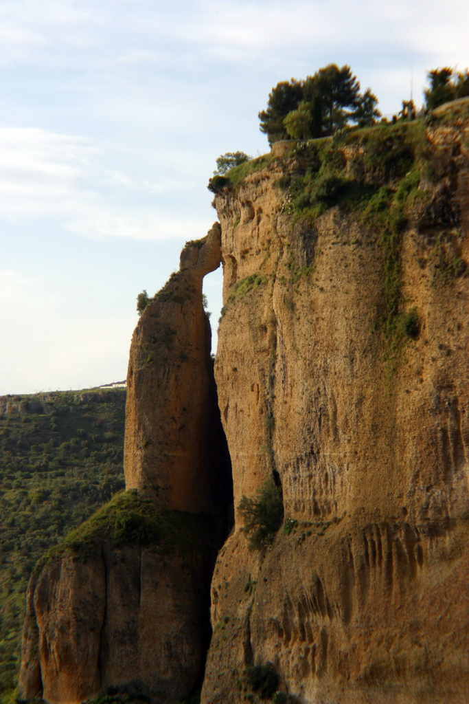 ronda separations