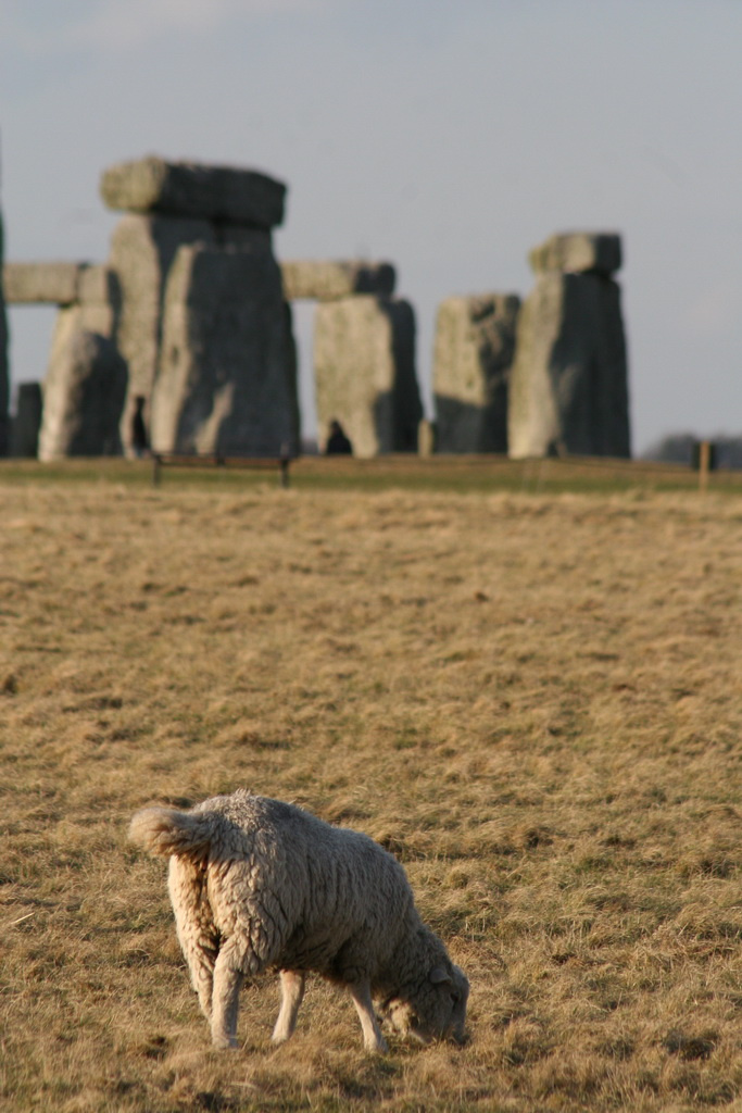 stonhenge the sheep and the time