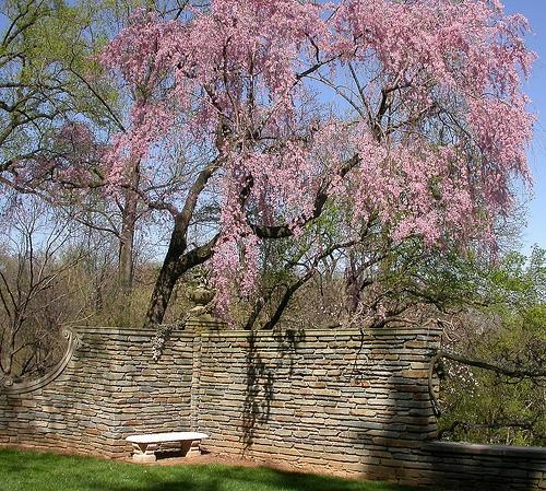 visit-dumbarton-oaks