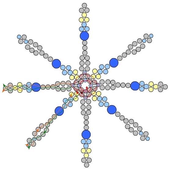 csillagbogyminta1