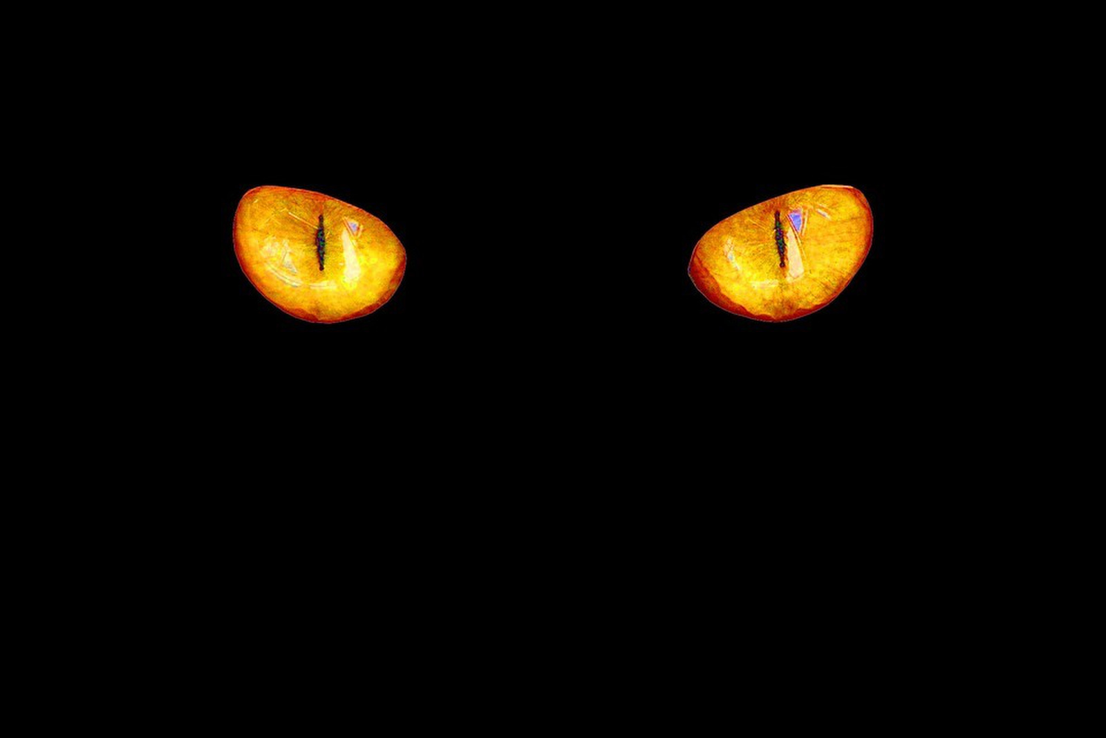 cats-eyes-4789730 960 720