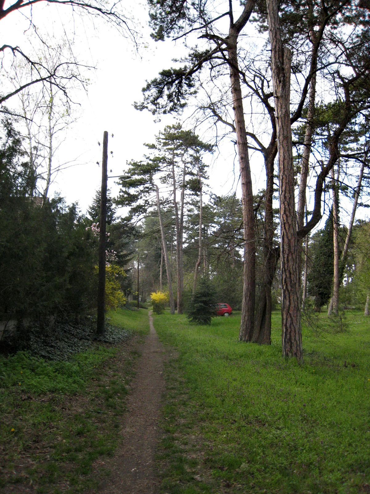 A tavasz zsongása