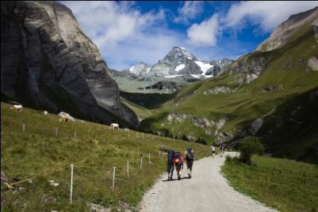 2011 08 Grossglockner Monty021