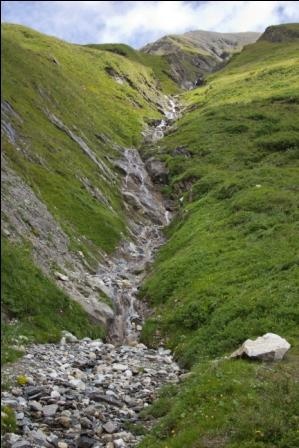 2011 08 Grossglockner Monty034