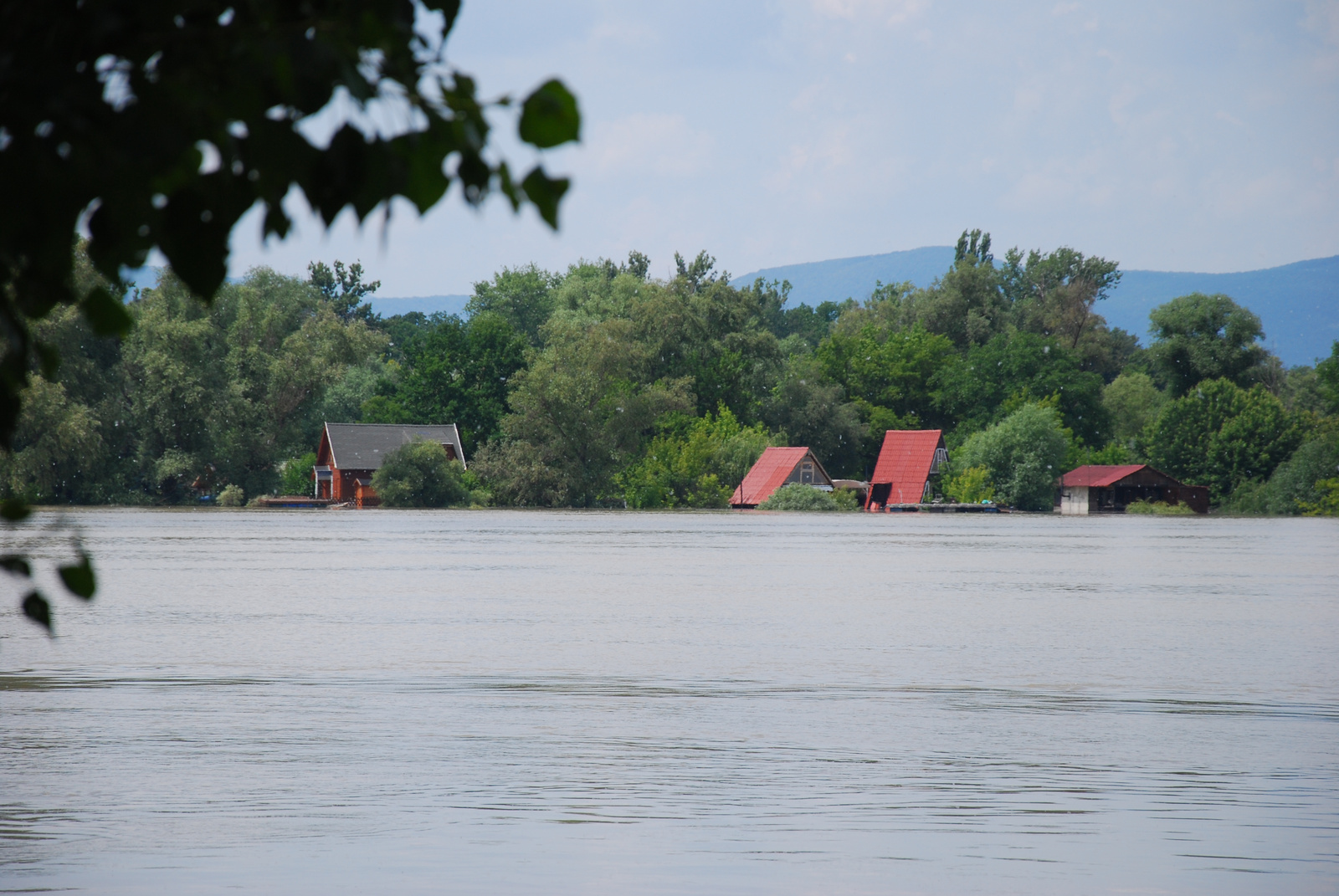 Szürkő sziget