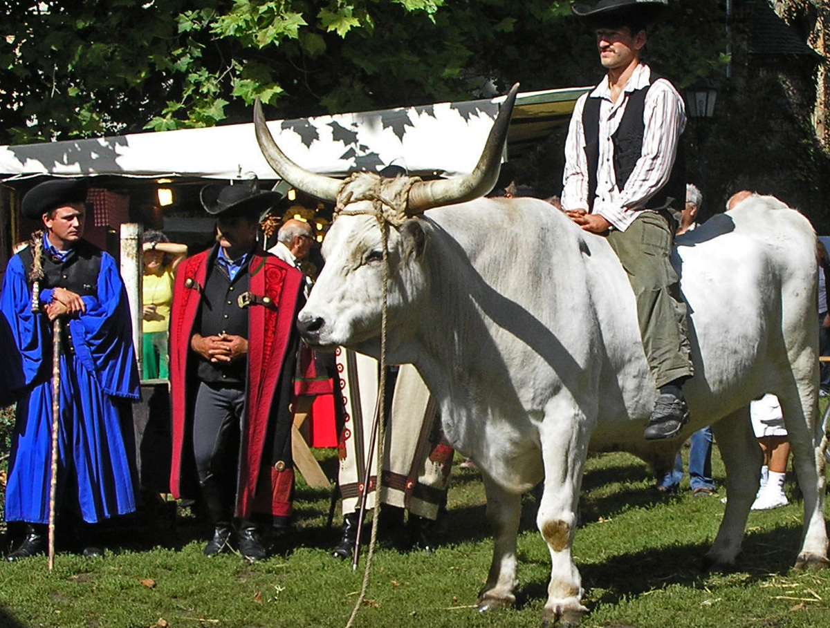 a főszereplő türelmes