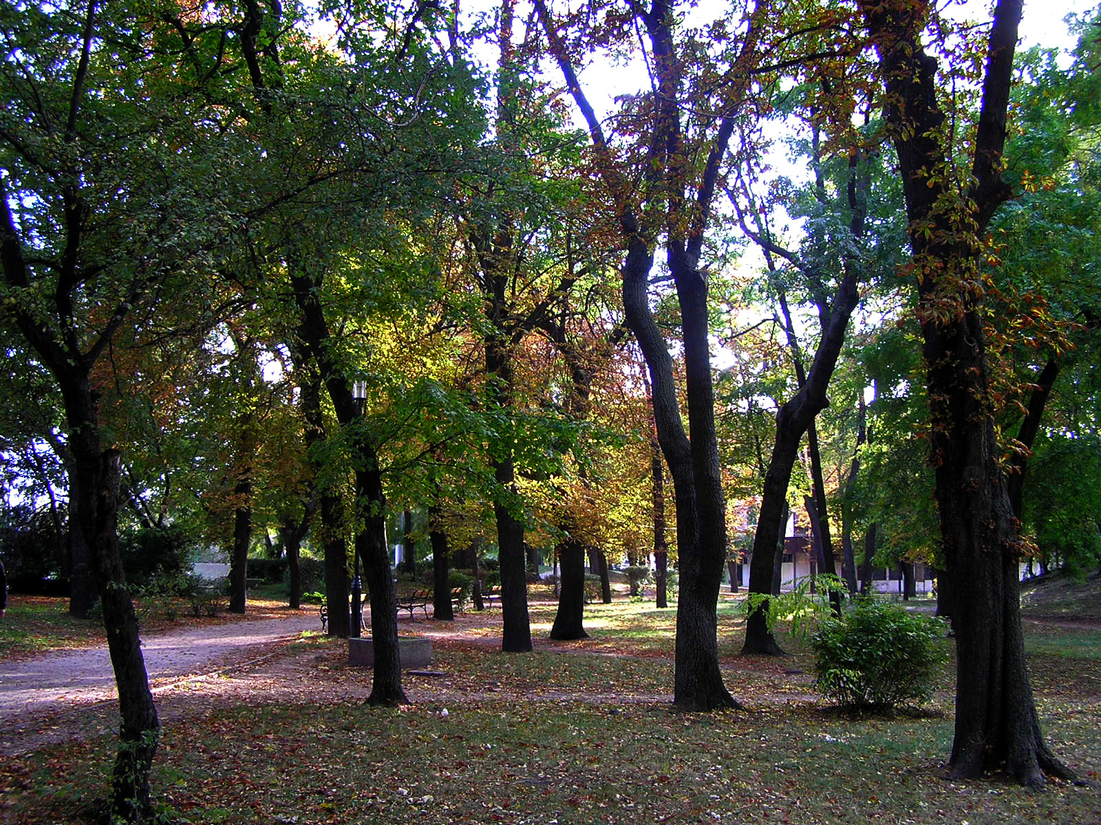 Színes park