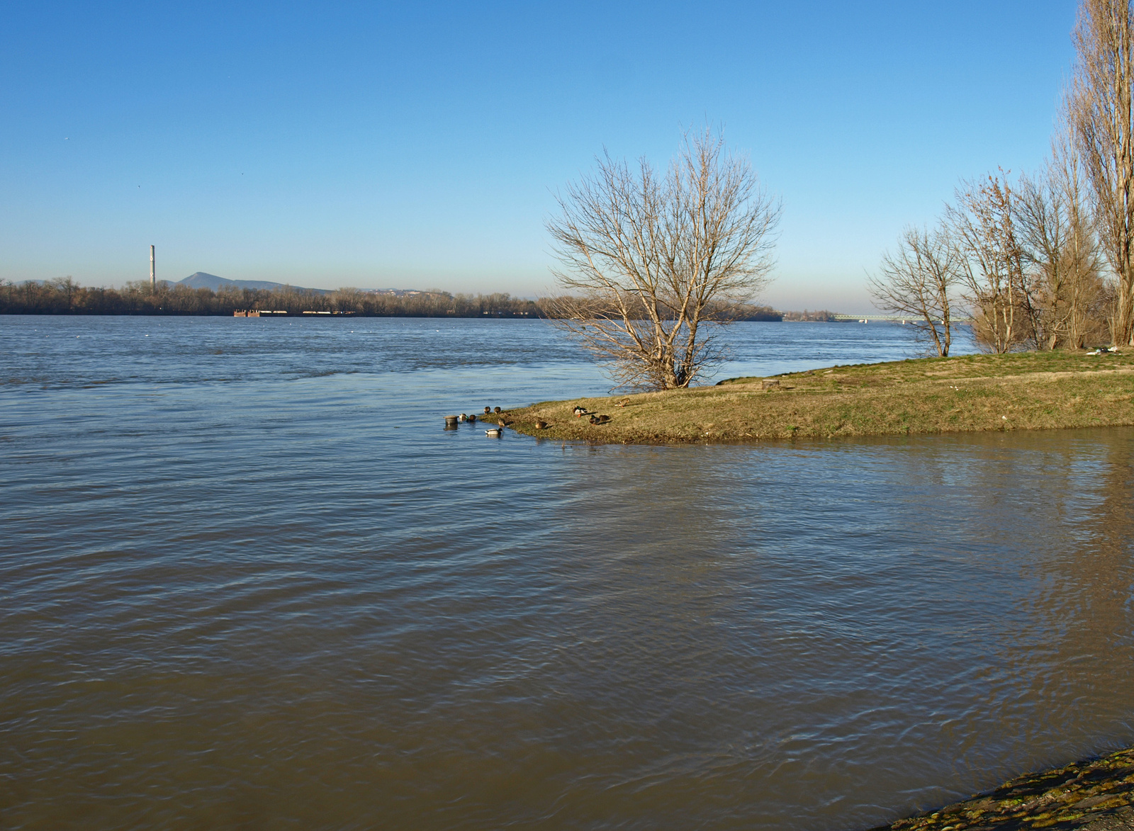 Rákos patak és a Duna találkozása