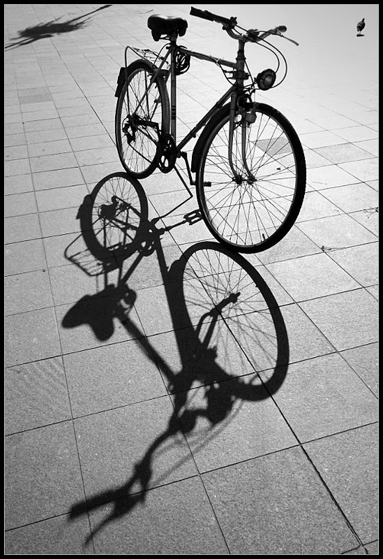 Bi-bicikli