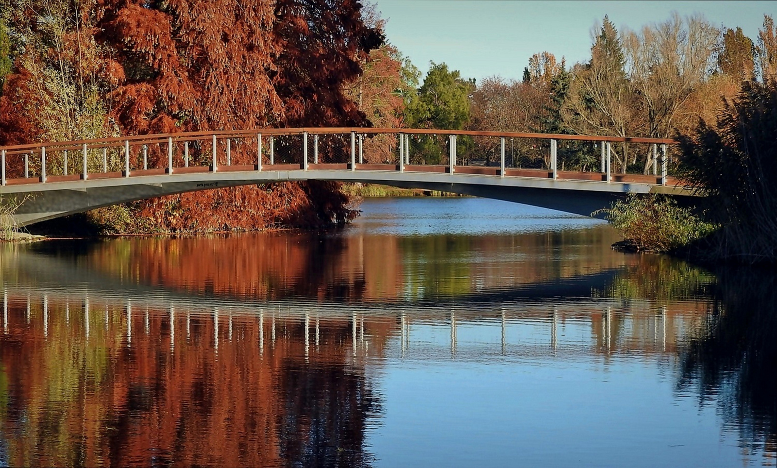 Híd és tükre novemberben