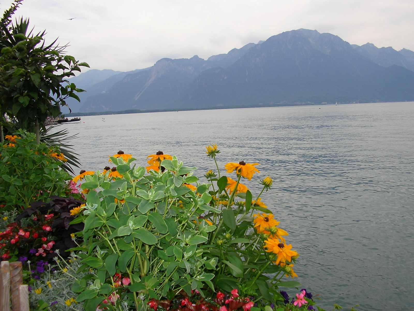 Montreaux5