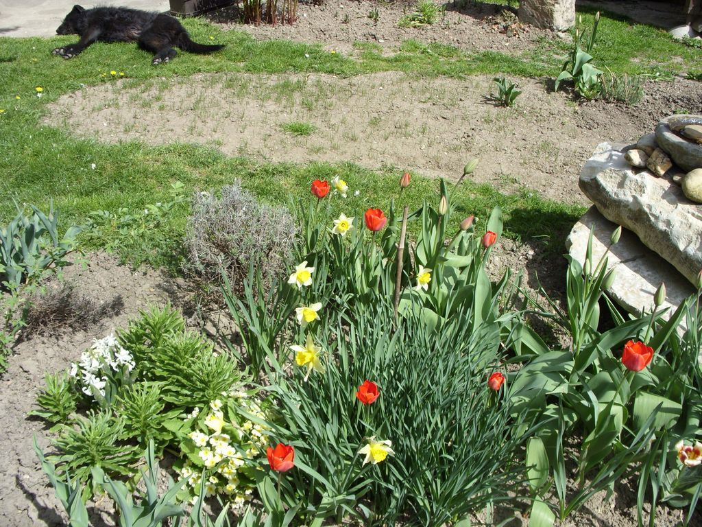 Tavaszi kert