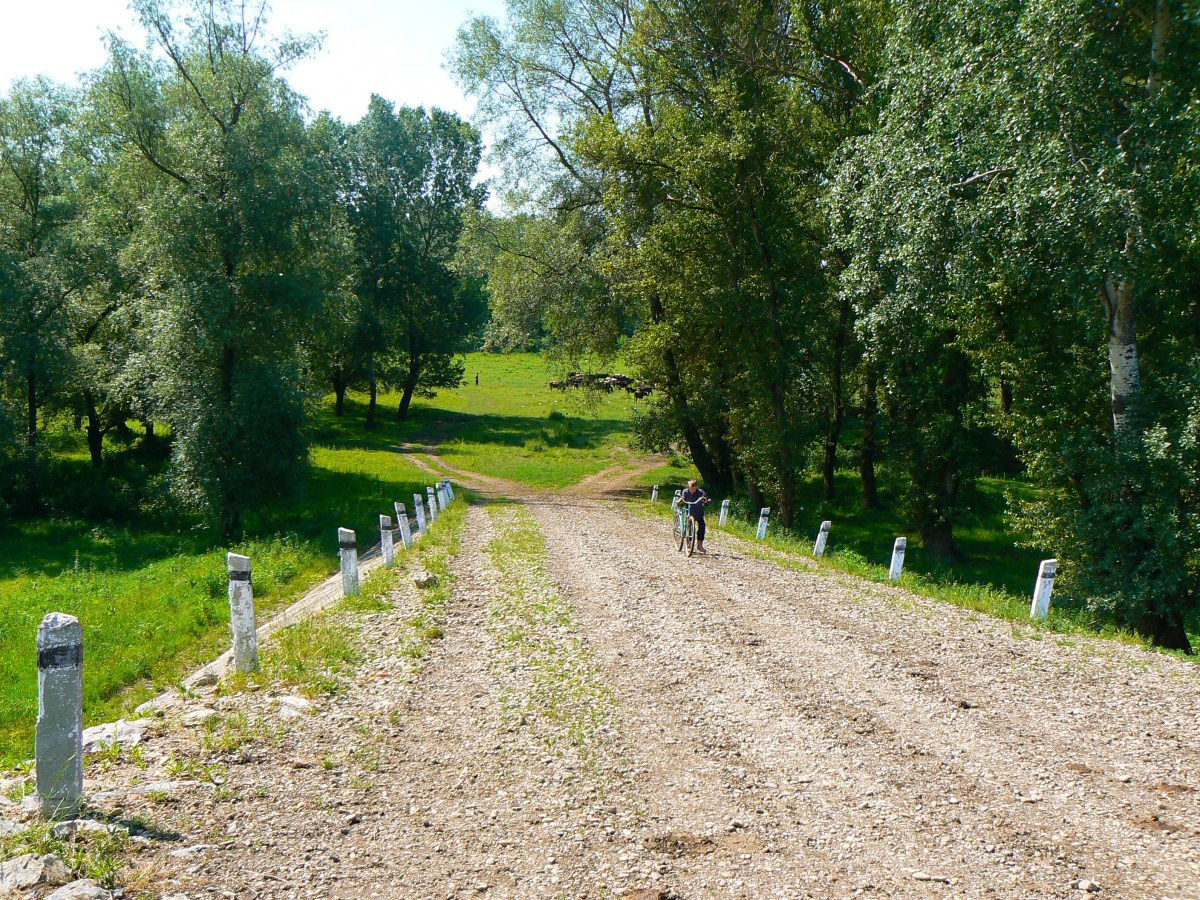 Tisza, gát