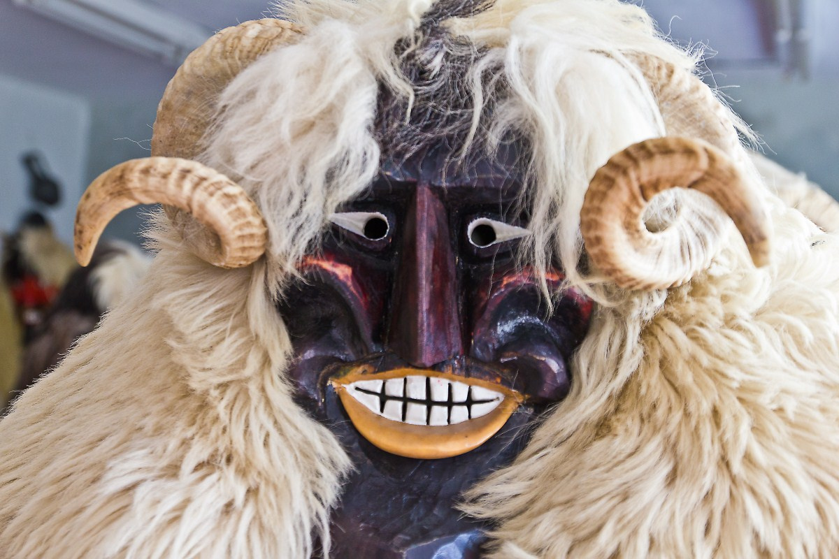 Busó 6