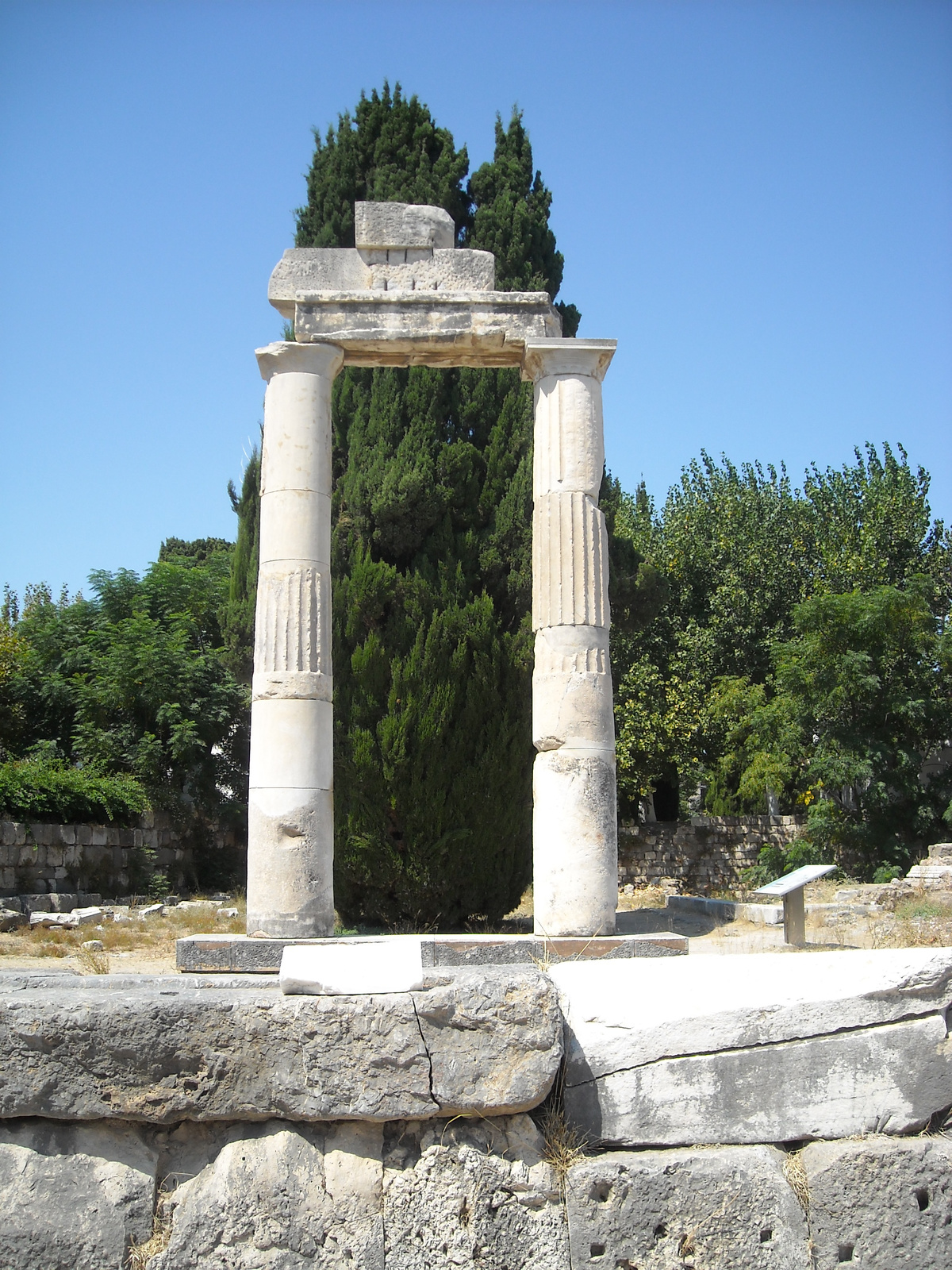 Kos 113 - Kos seta - Agora