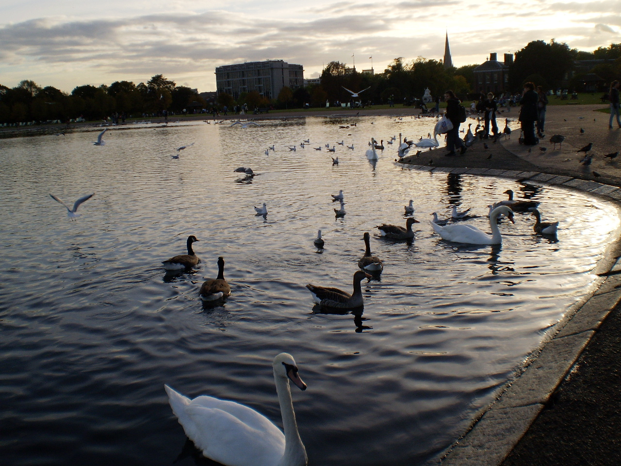 London 20091010 és Kensington Park 079