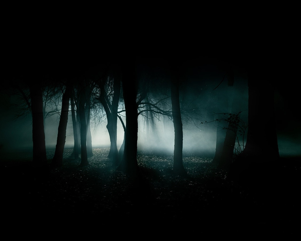 dark-forest-night-image