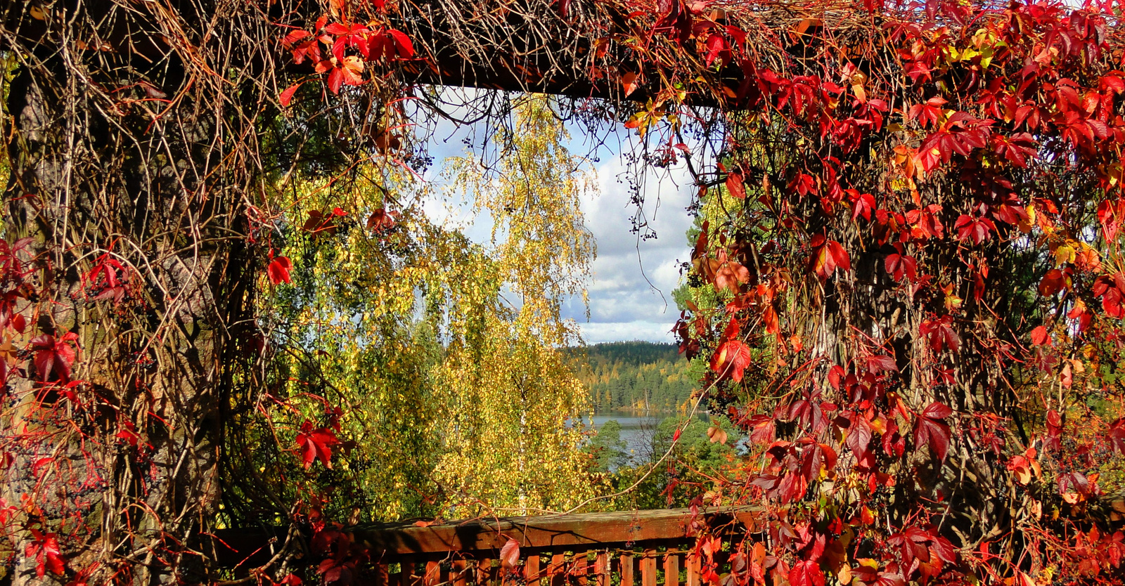 Az ősz ablaka