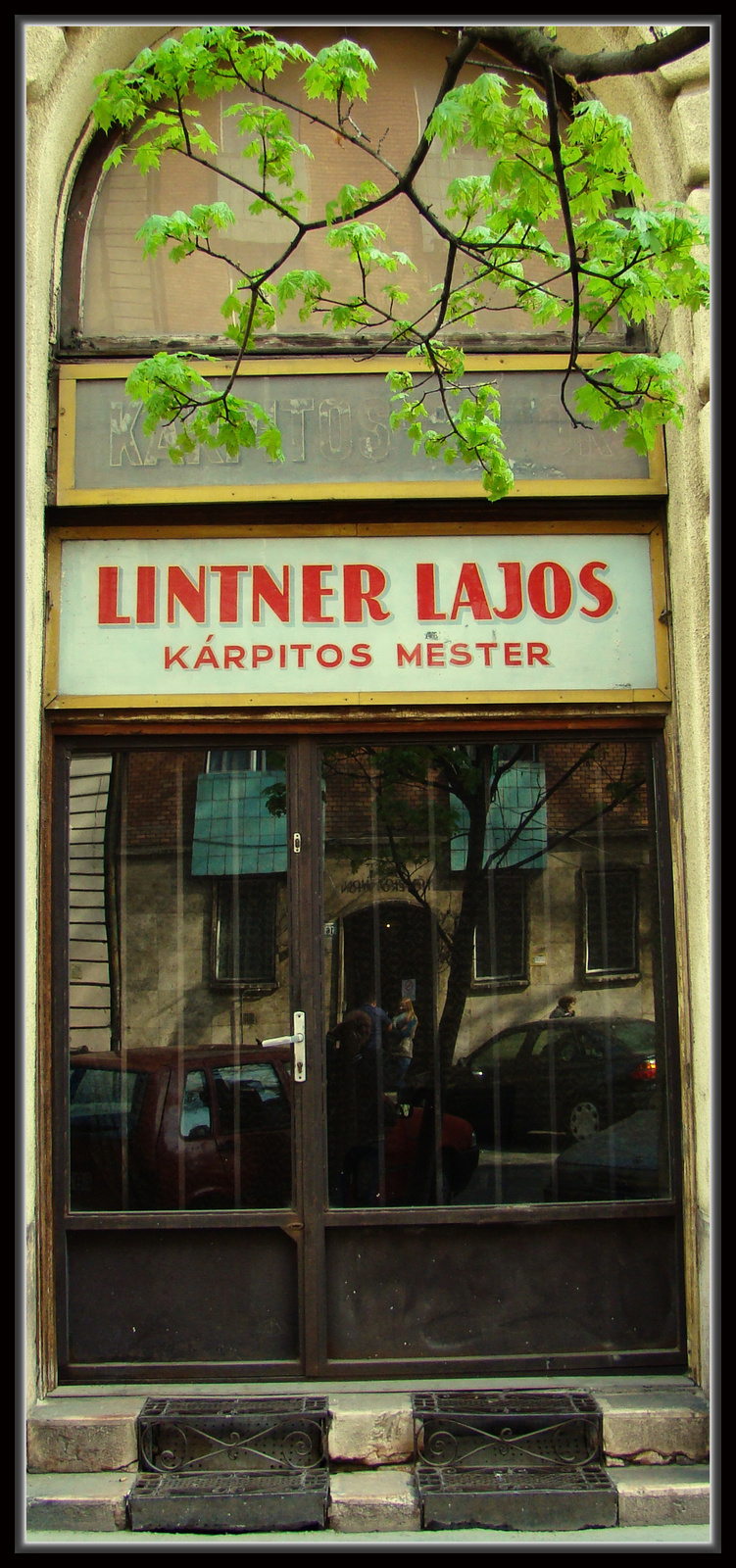 kárpitosmester