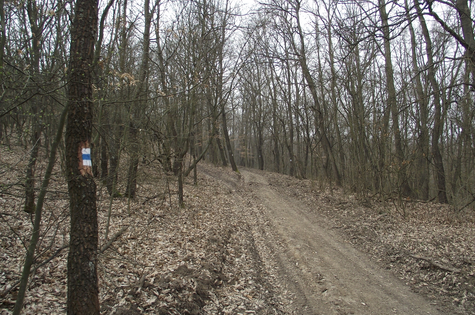 Cserhátsurány 2015 03 22 (2)