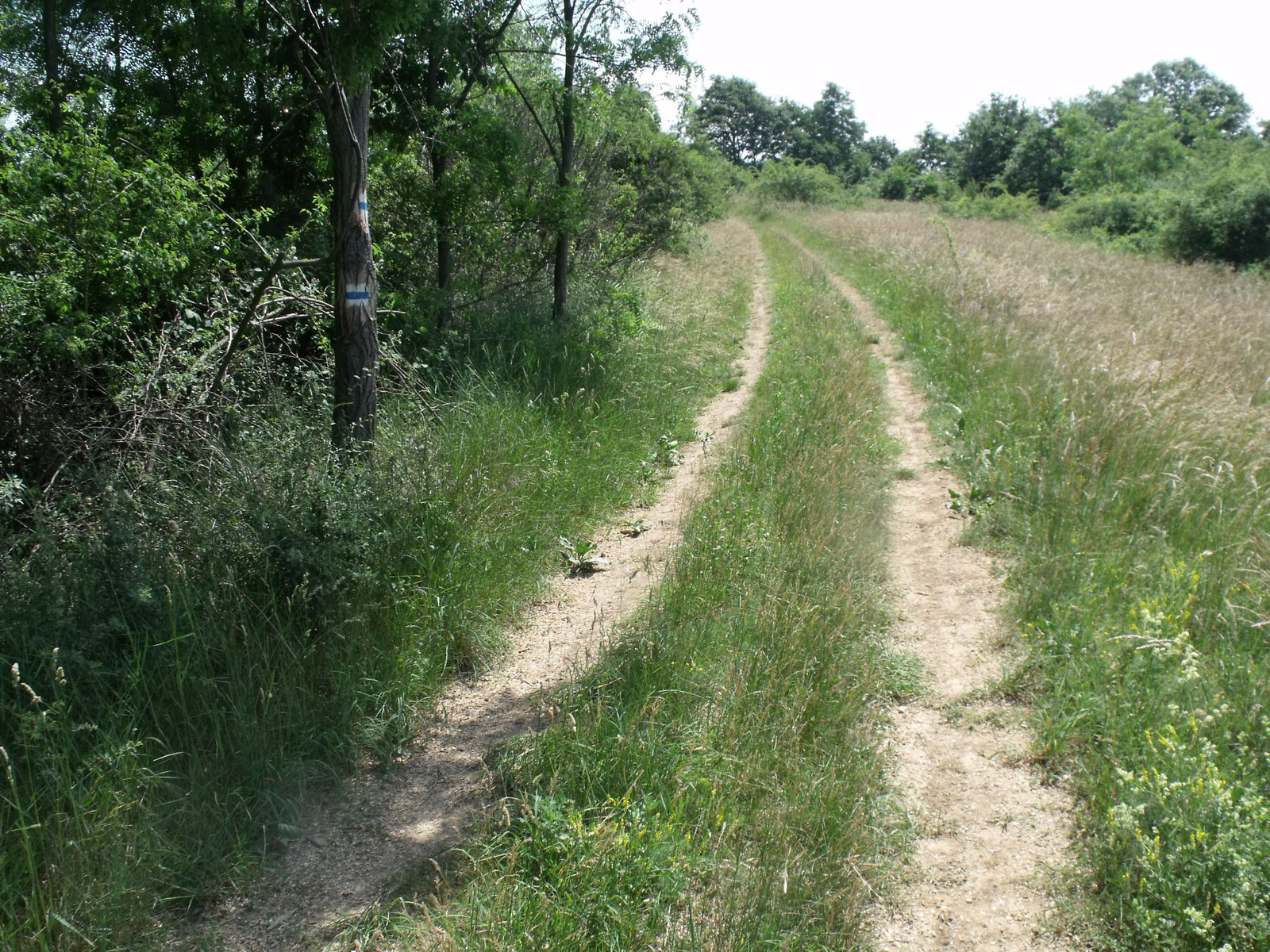 Szandaváralja Hucskó-hegy (6)