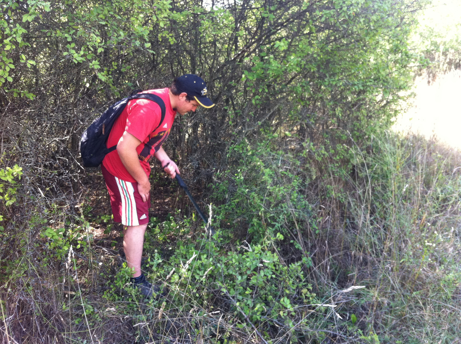 20150821 Kétbodony-Nósa-hegy (8)