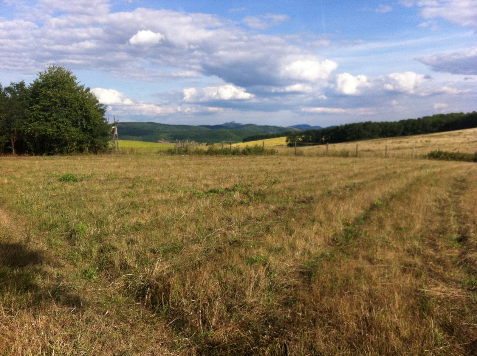 20150821 Kétbodony-Nósa-hegy (20)