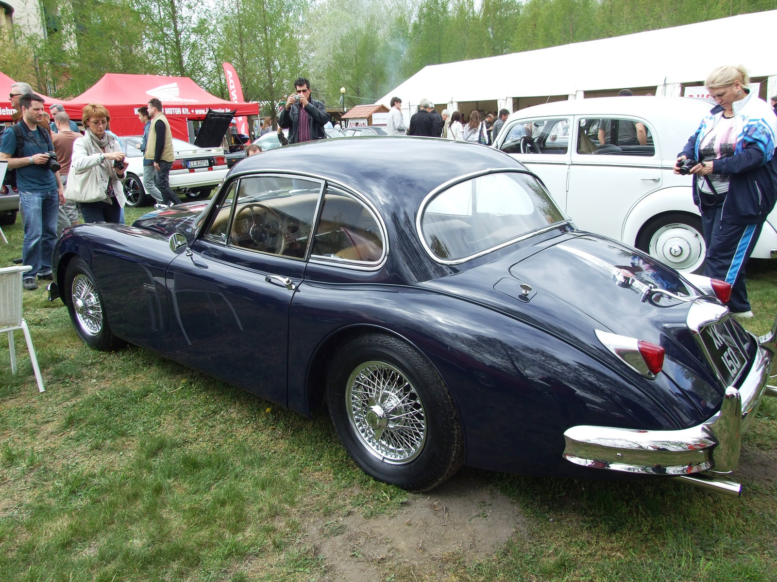 Jaguar1 b